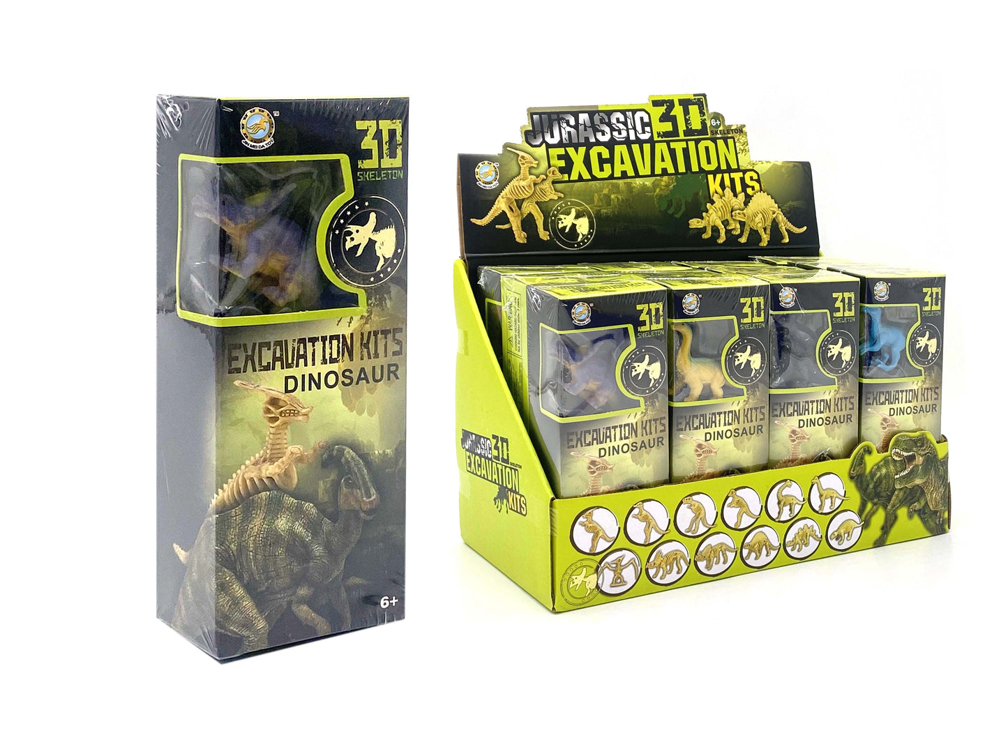 Disp. ecavation kots dinosauri